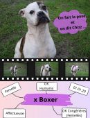 Chien0002